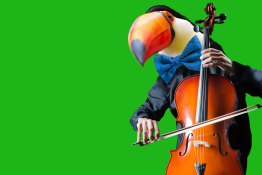 Nowy Sącz Wydarzenie Koncert Festiwal FUN&CLASSIC